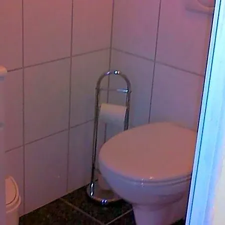 Penzion Gaestehaus Zum Moseltal 3*