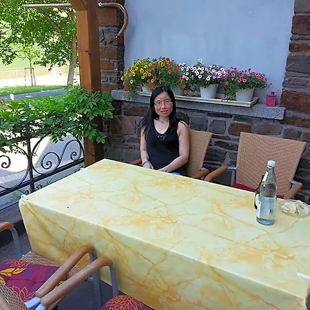 Gaestehaus Zum Moseltal Penzion 3*